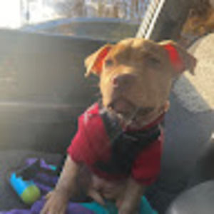 Meet your Posher, Ellena